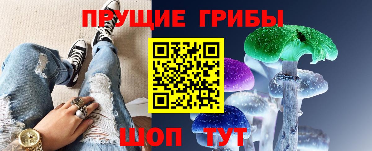 Галлюциногенные грибы GOLDEN TEACHER  Псилоцибиновые грибы GOLDEN TEACHER  Карпинск  купить   Вход с VPN 