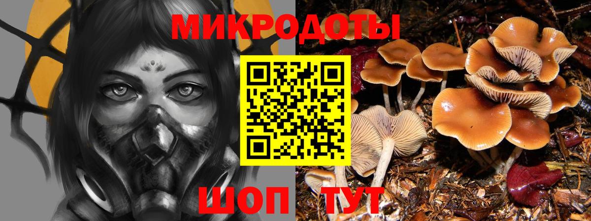 Галлюциногенные грибы MAGIC MUSHROOMS Карпинск